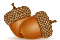 Acorn painting and decorating