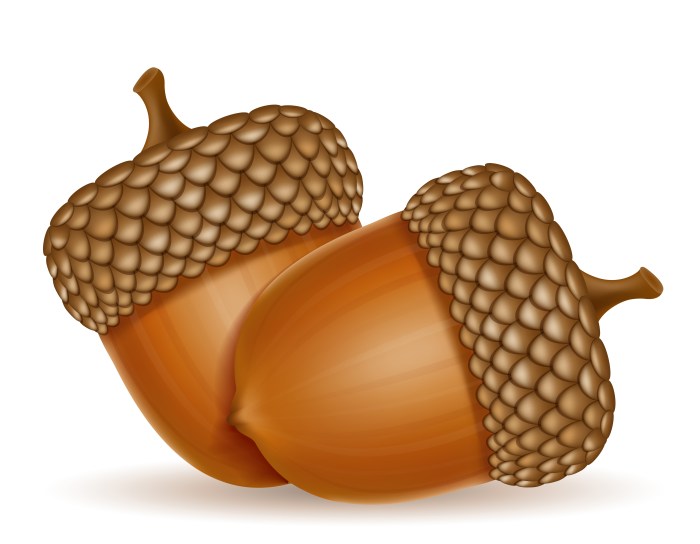 Acorn painting and decorating